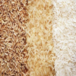 Sona Masuri Rice Varieties